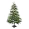 6.5ft. Unlit North Pine Artificial Christmas Tree